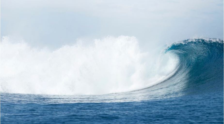 Seashell, fiji, surf break